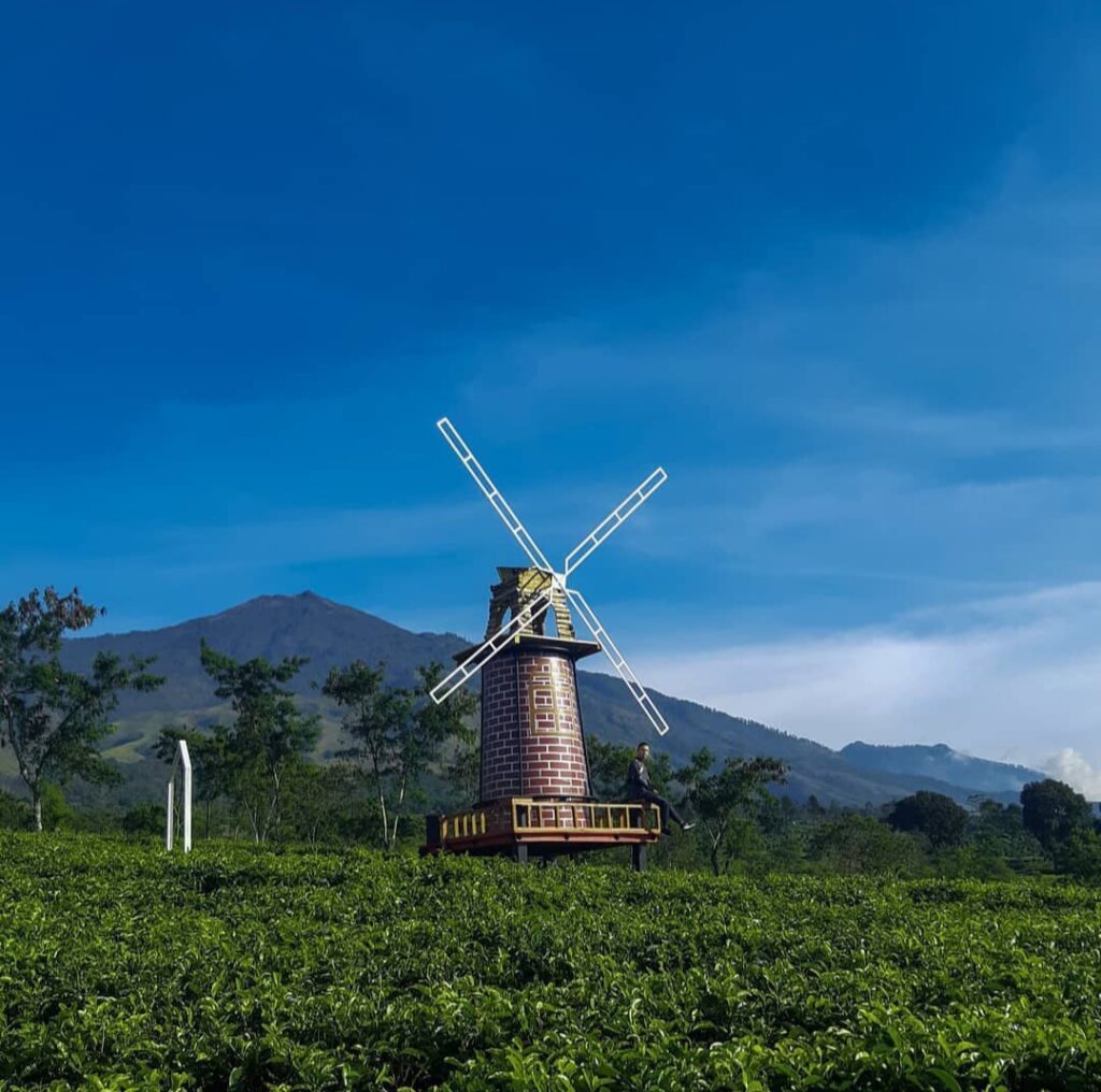 Wisata Bertema Alam yang Hits, Kebun Teh Wonosari Malang - Ngalam Life