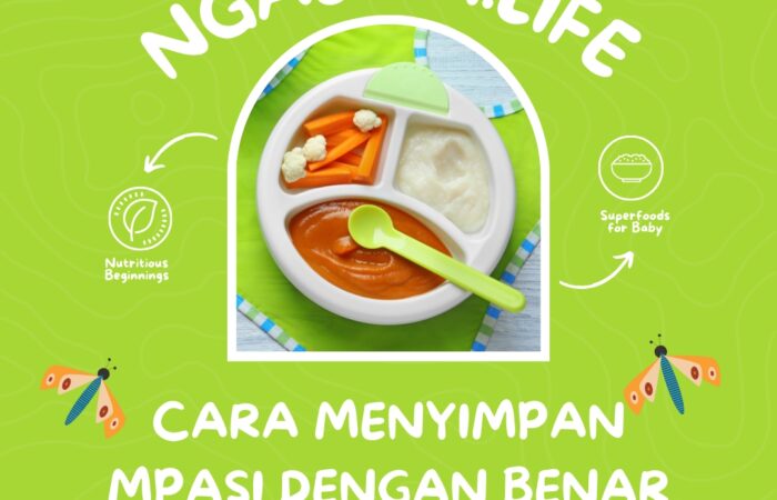 Menyimpan MPASI