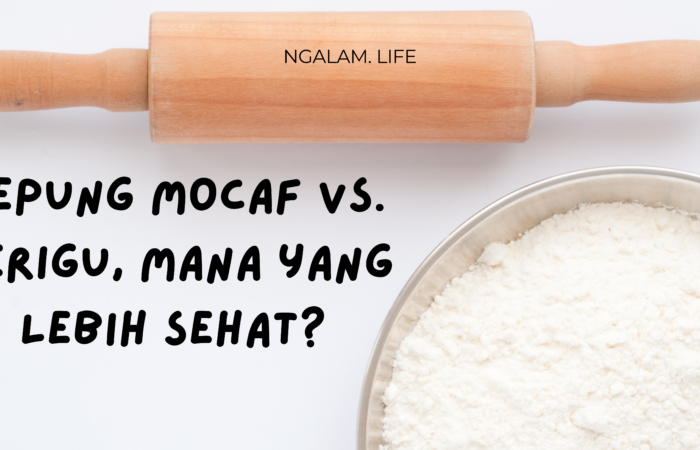 Mocaf vs terigu