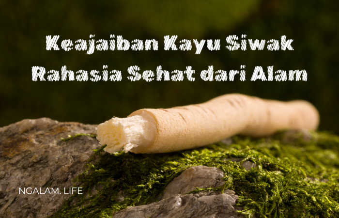 Keajaiban kayu siwak