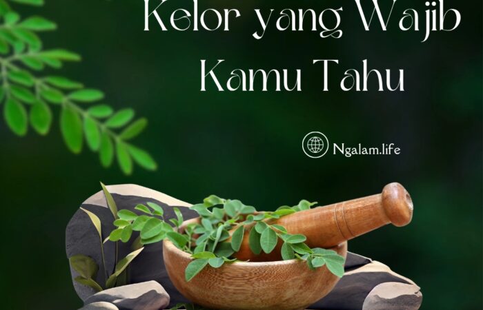 Manfaat daun kelor