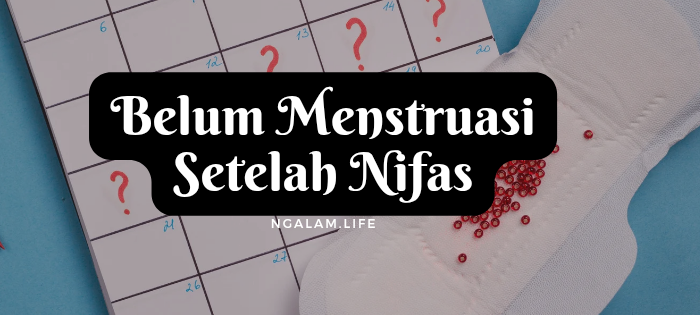 Belum menstruasi setelah nifas
