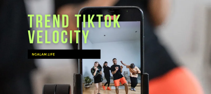 Trend tiktok velocity