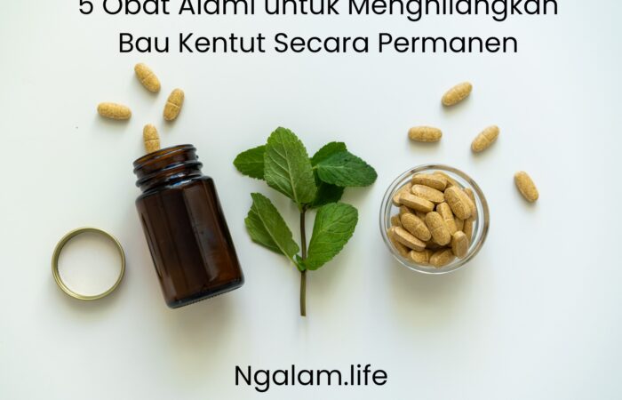 Penghilang kentut bau
