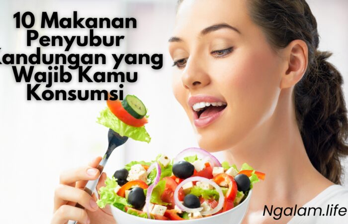 Penyubur kandungan
