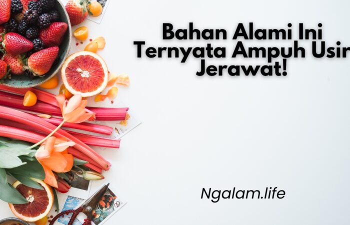 Bahan alami usir jerawat