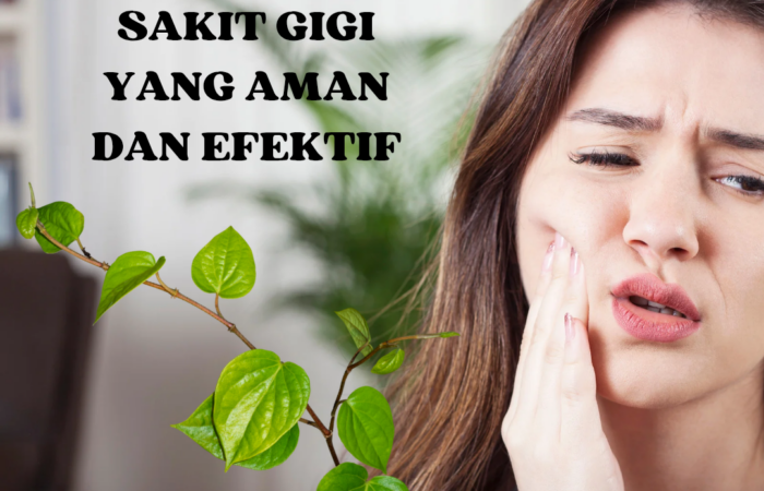 Obat herbal sakit gigi