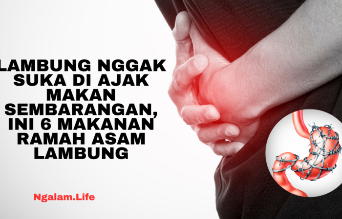 Makanan ramah asam lambung