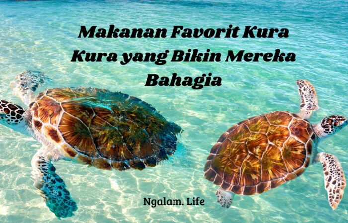 Makanan kura