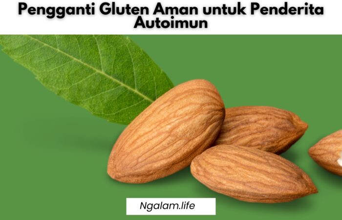 Pengganti gluten untuk autoimun