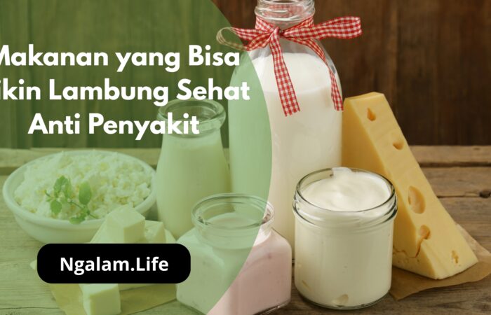 Makanan lambung sehat