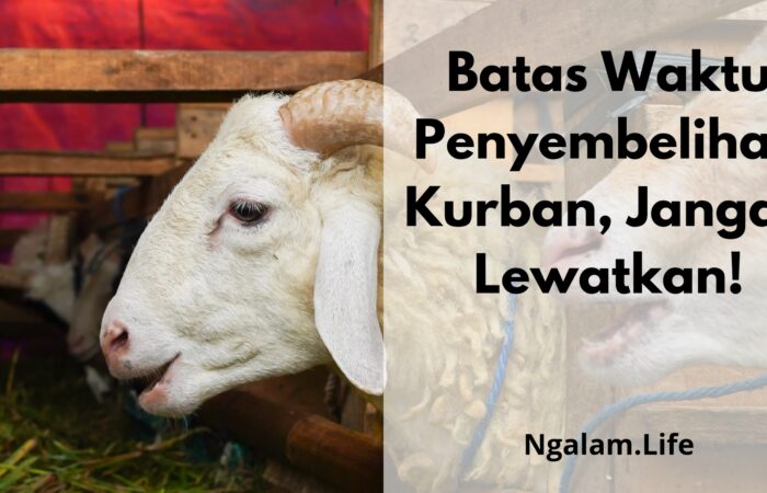 Batas Waktu Penyembelihan Kurban