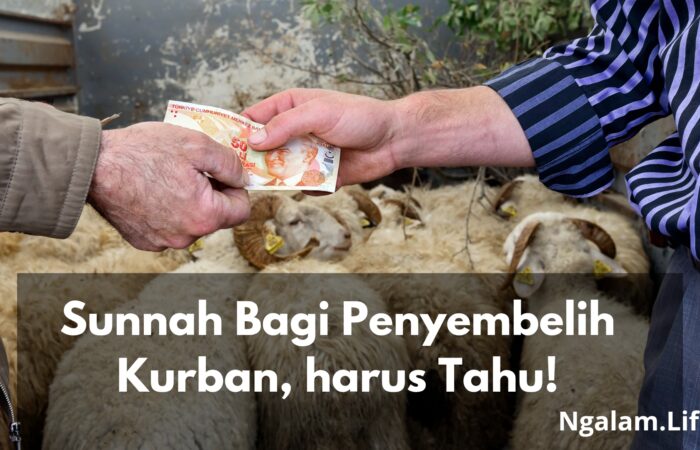 Sunnah kurban