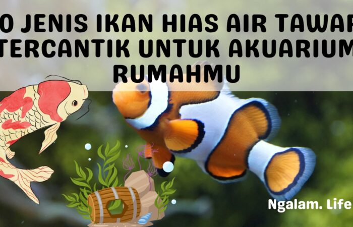 Jenis ikan hias