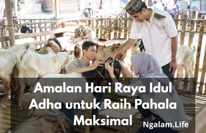 Amalan Hari Raya Idul Adha untuk Raih Pahala Maksimal