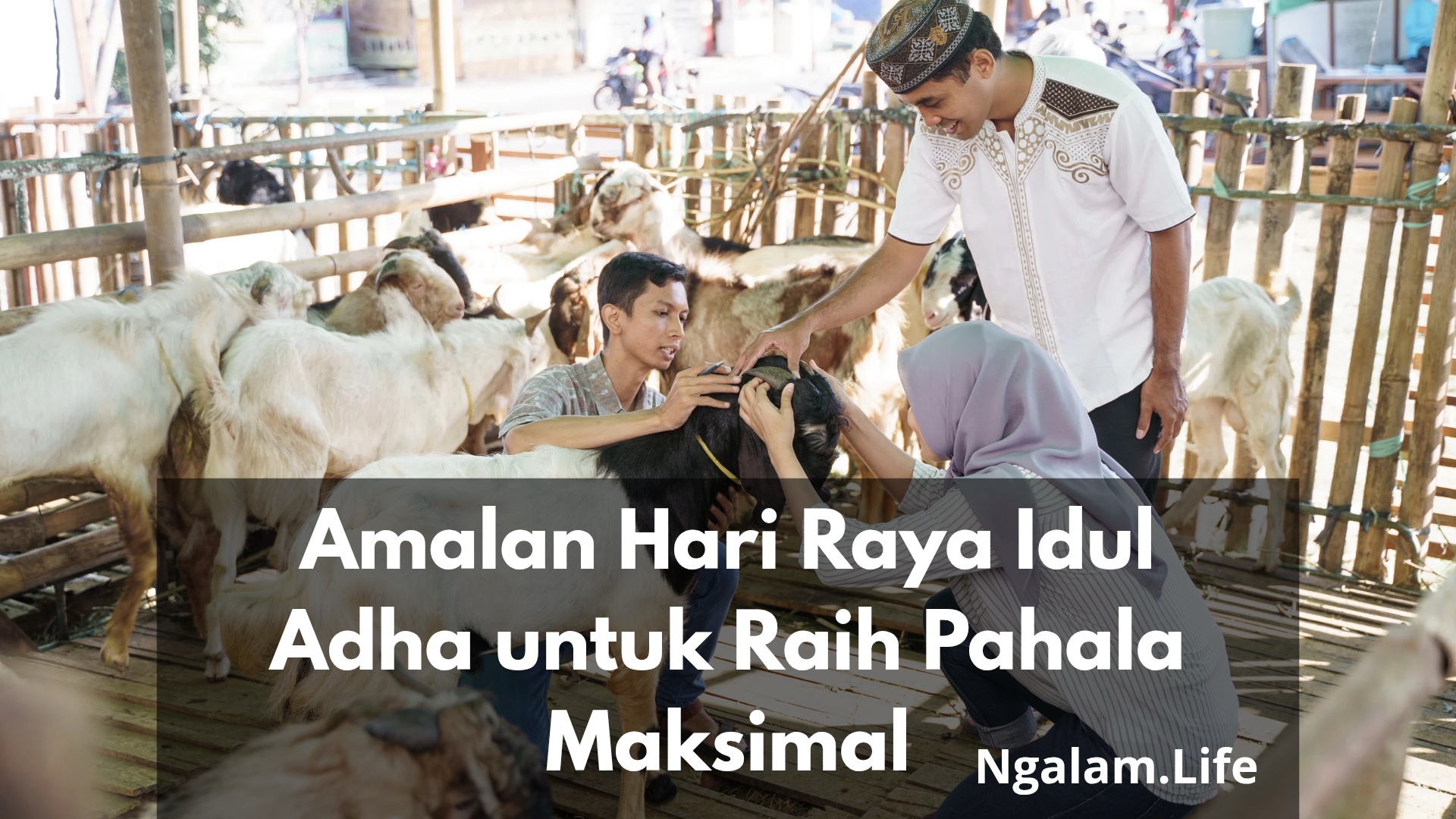 Amalan Hari Raya Idul Adha untuk Raih Pahala Maksimal