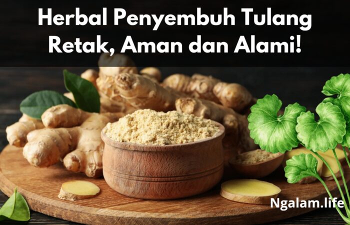Herbal penyembuh tulang