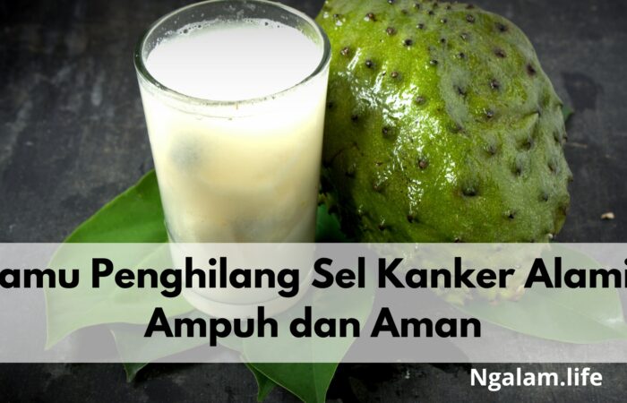 Jamu sel kanker