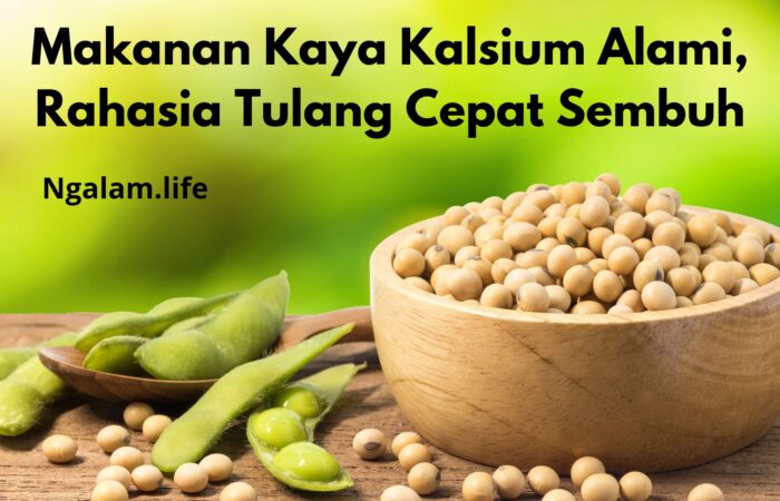 Makanan kalsium untuk tulang