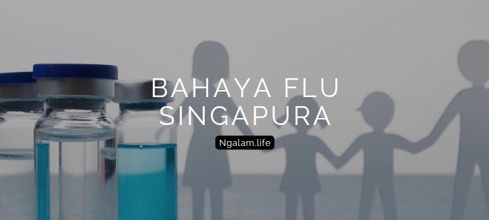 Bahaya flu Singapura