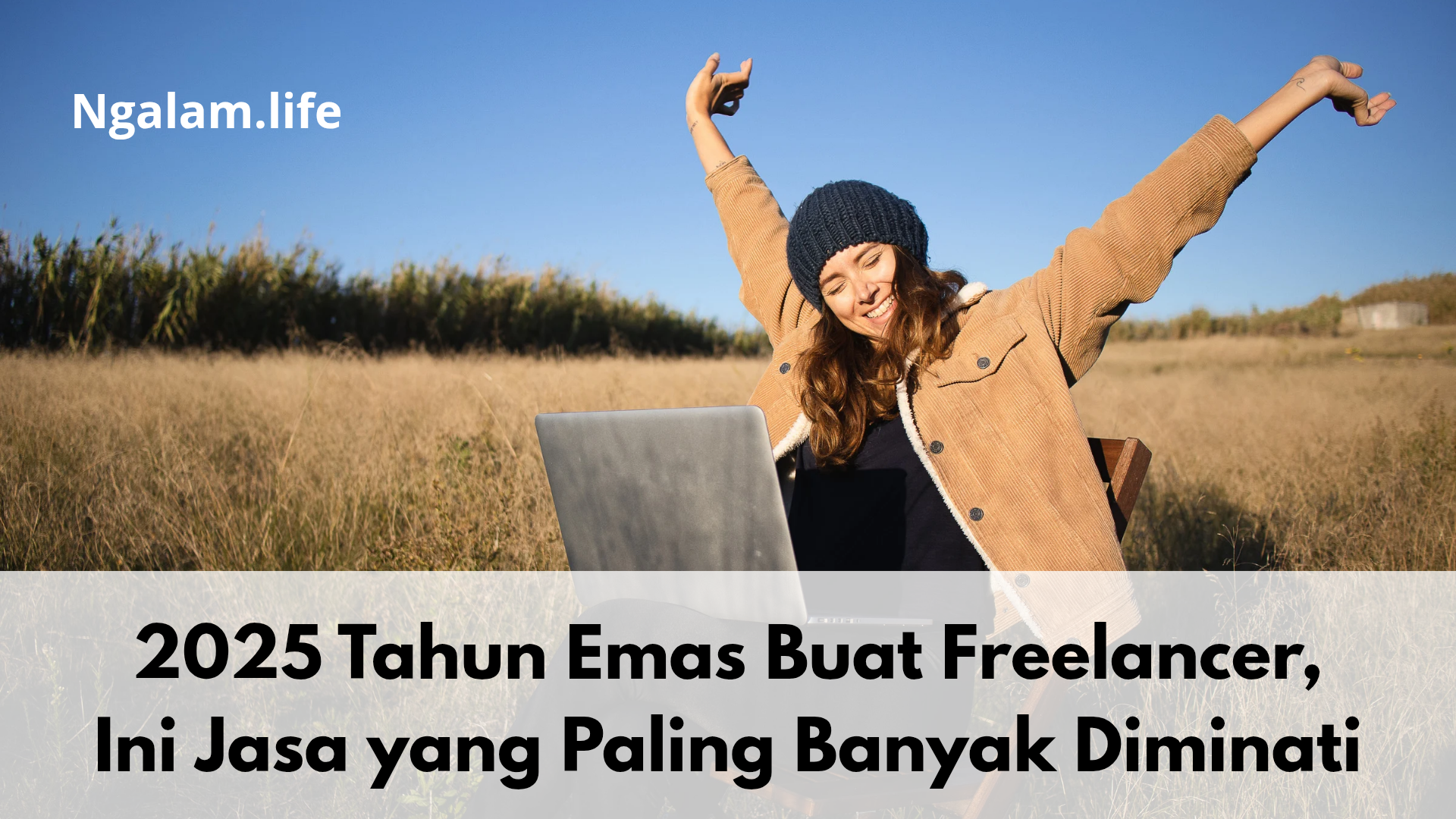 Freelancer