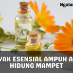 Minyak Esensial Ampuh Atasi Hidung Mampet