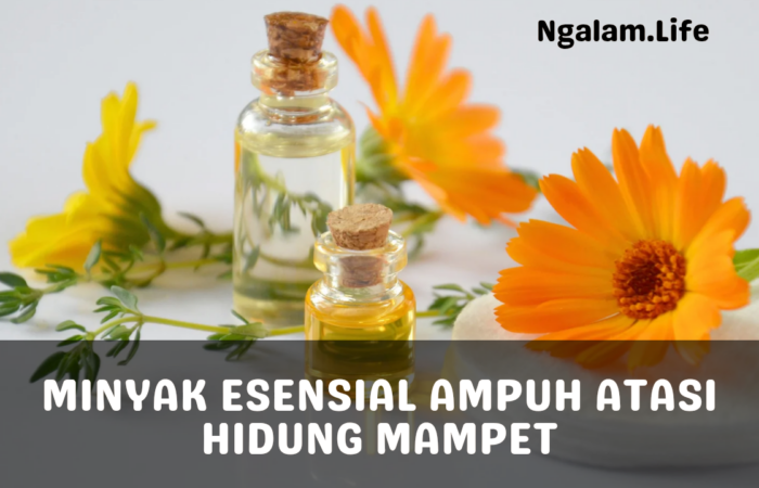 Minyak Esensial Ampuh Atasi Hidung Mampet