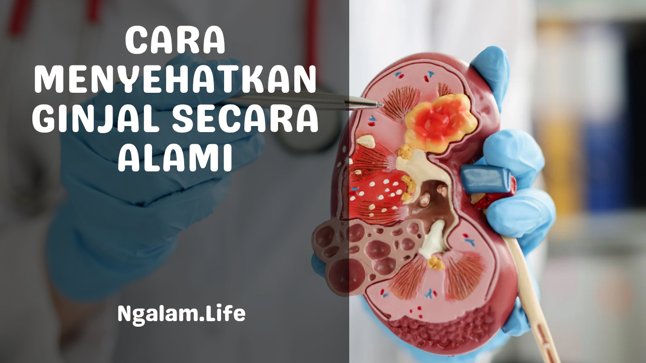 Menyehatkan ginjal