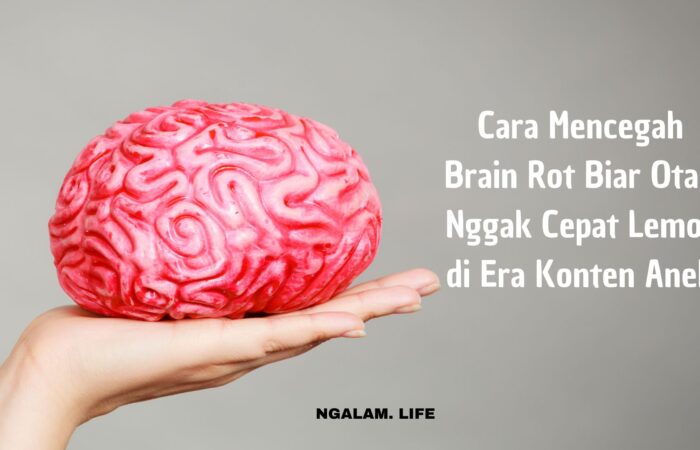 Mencegah brain rot