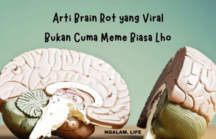 Arti brain rot