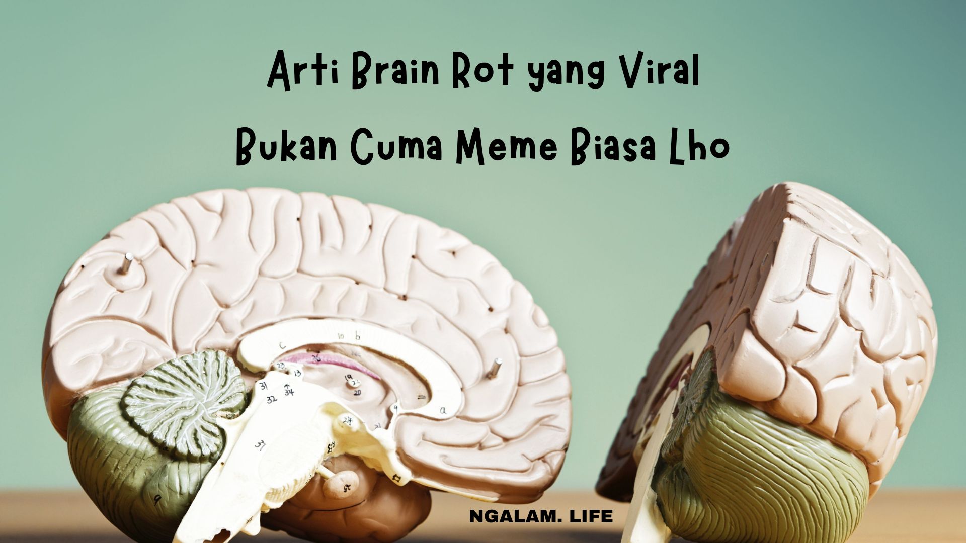 Arti brain rot