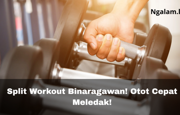 Split workout untuk binaragawan