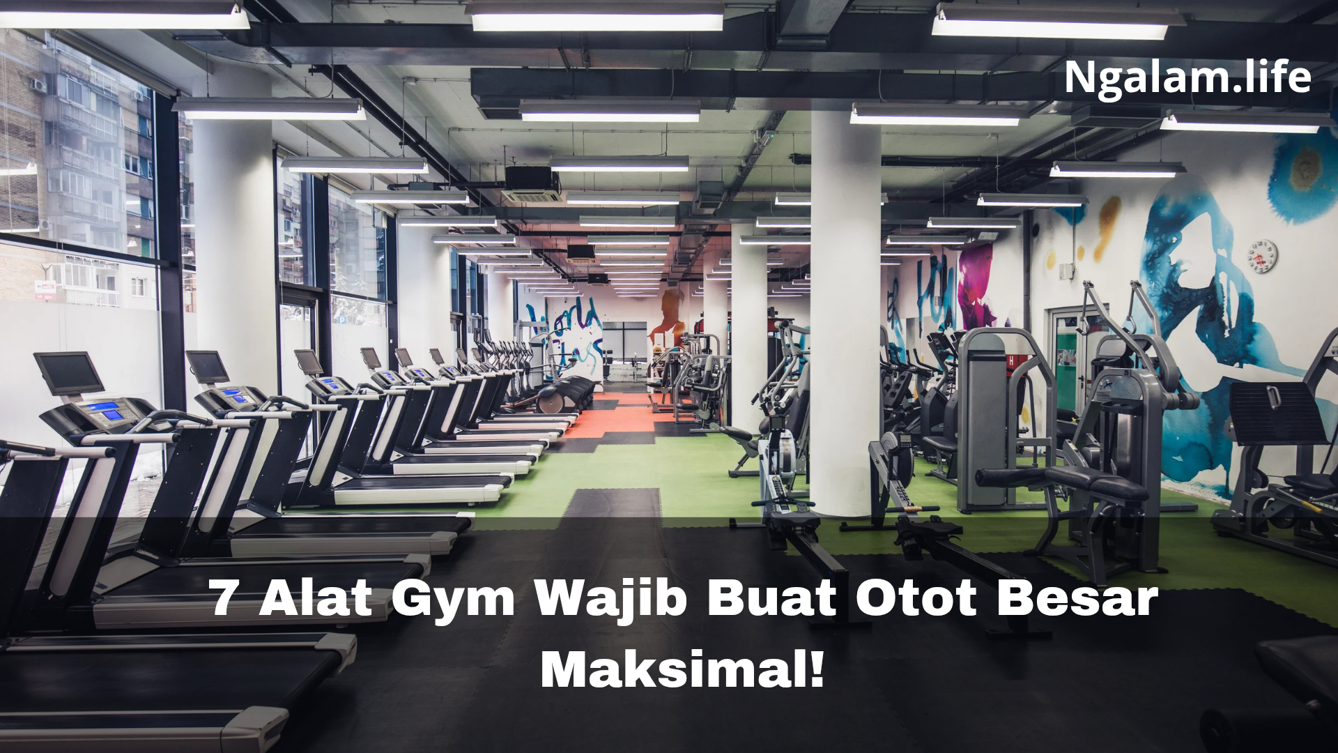 Alat gym