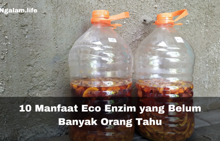 Manfaat eco enzim