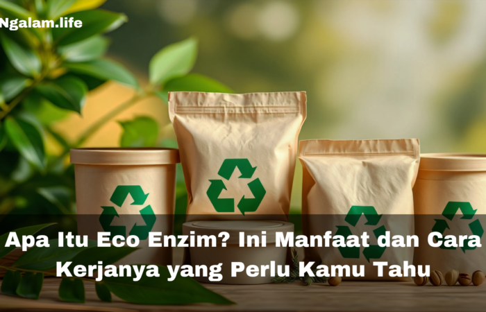 Apa itu eco enzim