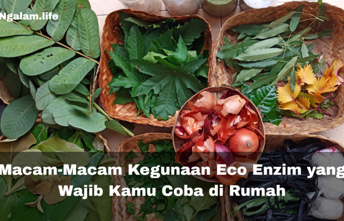 Macam Macam Kegunaan Eco Enzim yang Wajib Kamu Coba di Rumah