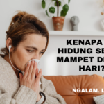 Hidung mampet pagi hari