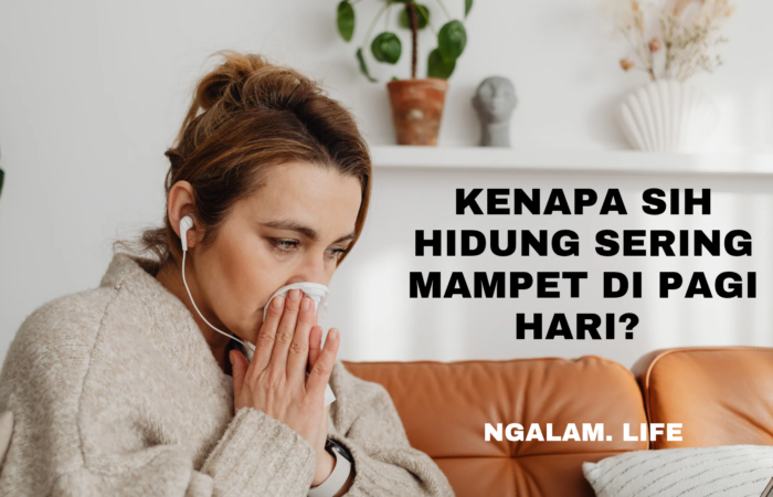 Hidung mampet pagi hari